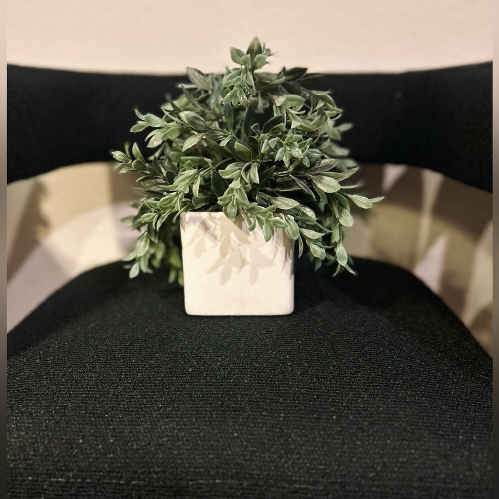 Green Faux Boxwood Plant in Cream Ceramic Square Pot